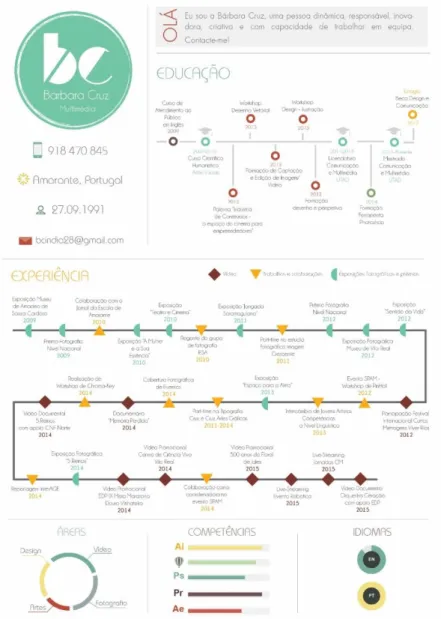 Figura 8. CV Infográfico 