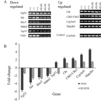 Figure 3 - Gene expression in WT Balb/c mice and VC-treated sfx mice based on microarray analysis