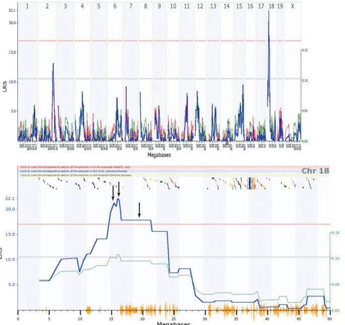 Figure 5 - Transcriptomic mapping of loci that regulate Gulo expression. A. Whole genome mapping revealed loci on chromosomes 2 and 18
