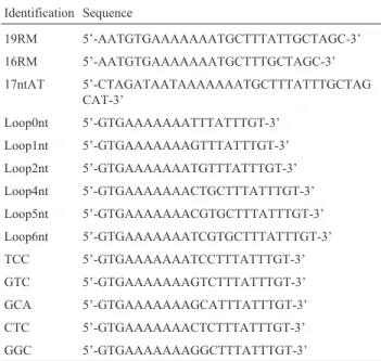 Table 2 - Synthetic templates used to construct expression vectors.