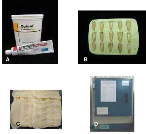 FIGURA 3 – (A) Espécimes posicionados para tomada radiográfica; (B)      Molde posicionado sobre o filme radiográfico oclusal