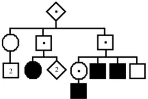 Figure 1 - Filtered pedigree of a family with several cases of an incom- incom-pletely penetrant autosomal disease.