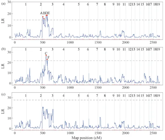 Figure 2 - The profiles of the log likelihood ratios for root number, an adventitious root trait in poplar, across all the 19 linkage groups in the integrated map of P
