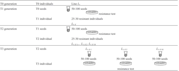 Table 1 - Experimental protocol.