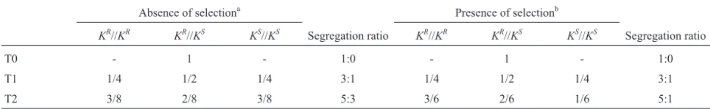 Table 3 - Genotypic frequencies of self-pollinated plants harboring a single copy of the transgene.