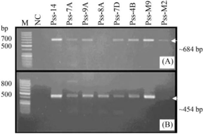 Table 2 - Universal and modified primers used for REP-PCR in this study.