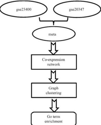 Figure 1 - Workflow of our study. The RankProd package was used for merging the GSE23400 and GSE20347 datasets, as was the Spearman Rank Correlation for constructing a co-expression network based on their expression profiles