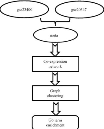 Figure 1 - Workflow of our study. The RankProd package was used for merging the GSE23400 and GSE20347 datasets, as was the Spearman Rank Correlation for constructing a co-expression network based on their expression profiles