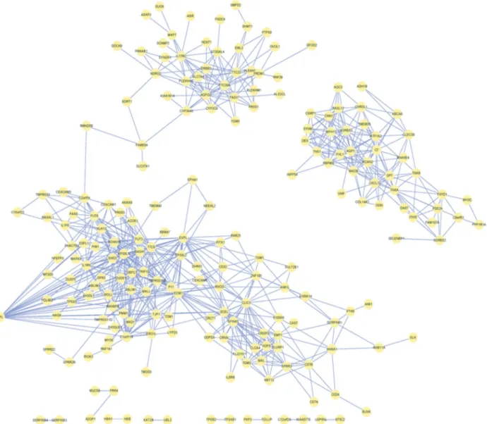 Figure 3 - Correlation network of ESCC. Yellow dots indicate DEGs and blue lines the correlation of two neighboring points, with r &gt; 0.9.