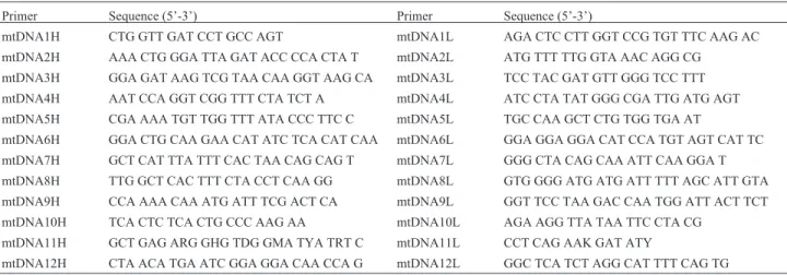 Table 1 - Primer pairs used in the PCR amplifications.