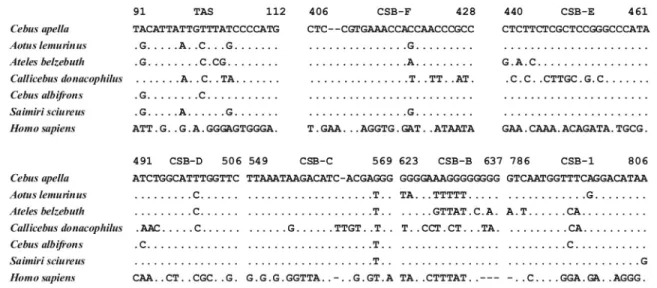 Figure 2 - Sequences and the conserved elements of the control region. Primary sequence features (TAS, CSB-B-F, CSB-1) are shown in boxes