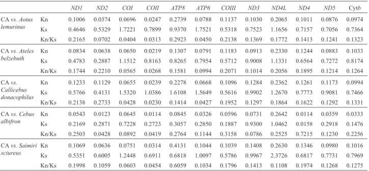 Table 3 - Rates of nonsynonymous (Kn) and synonymous (Ks) substitutions in the coding region of protein genes between C