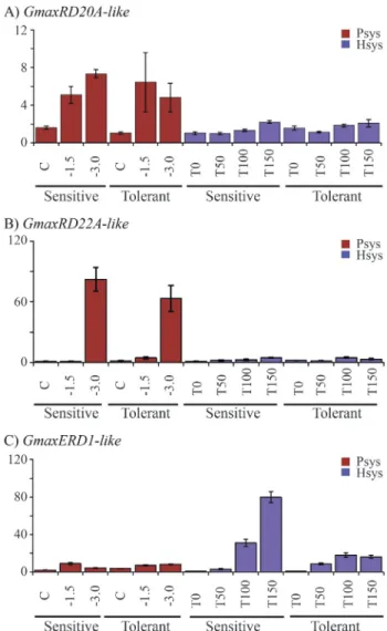 Figure 2 - Expression profile analyses for the soybean genes GmaxRD20A-like (A), GmaxRD22-like (B) and GmaxERD1-like (C) in the roots of sensitive and tolerant cultivars during water deficit stress in pot-based (PSys) and hydroponic (HSys) systems
