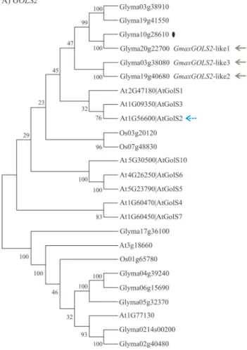 Figure 3 - Dendrogram using a gene model of drought responsive genes in Arabidopsis thaliana, Oryza sativa and Glycine max based on the amino acid sequences