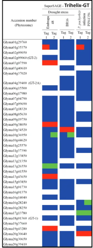 Figure 3 - Expression pattern of trihelix-GT encoding-genes under drought stress and P