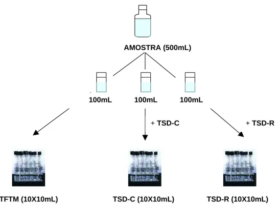 Figura 15- Esquema de análise para determinação de coliformes totais e coliformes  fecais pela Técnica em Tubos Múltiplos (SILVA, 2000)