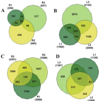Figure 4 - Venn-Master diagram. Libraries were compared to each other to show the number of genes expressed only in one library and the ones common to different libraries