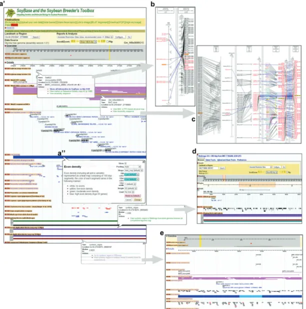 Figure 2 - BAC selection scheme, using the SoyBase browser (a’). BACs were selected from a high exon density region (a’’), considering their associated mapped markers and physical map locations (b)