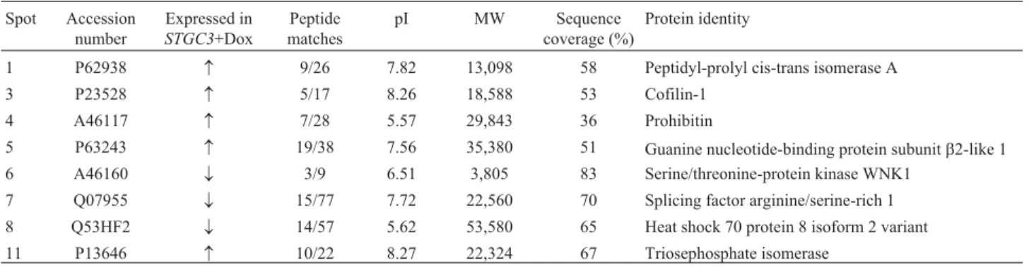 Table 2 - Up-regulated and down-regulated spots in the Tet/pTRE-STGC3/CNE2+Dox group.