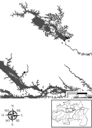 Figure 1 - Map indicating collection points of analyzed species: a) UHE Balbina location - 01°55’ S, 59°28’ W; Reservoir islands - b) 01°52’24.16586” S 59°24’49,09481” W, c) 01°50’59.95936” S, 59°26’24.72089” W; d) Isaac Sabbá oil refinery, REMAN - 03°08’ 