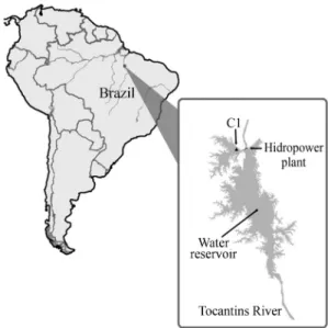 Figure 1 - Map showing the reservoir of the Tucuruí Hydroelectric Reser- Reser-voir on the lower Tocantins in the Brazilian state of Pará and the study area at C1, where the specimens were collected.