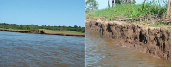 Figure 1 - Solimões River bank showing floodplain and water table where soil samples were collected