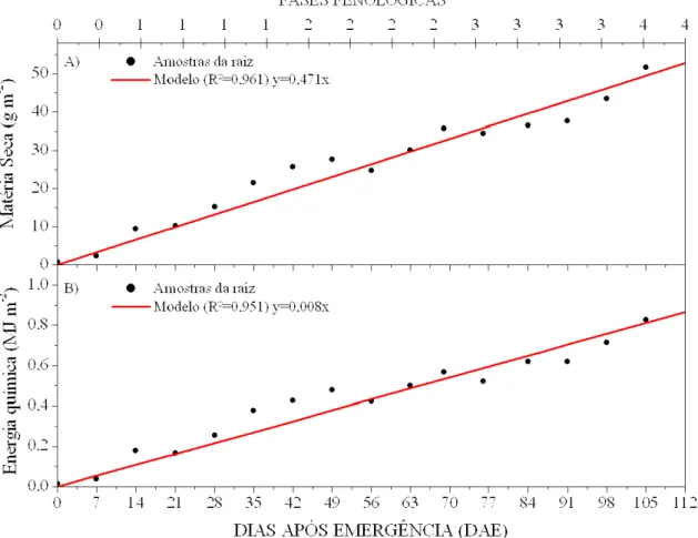 Figura 7. Modelos de produção para o sistema radicular do amendoim: A) matéria seca; B)  energia química acumulada na biomassa, em função de dias após emergência