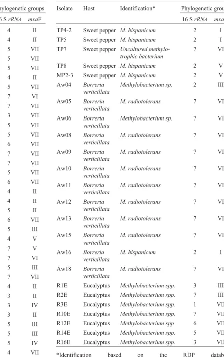 Table 1 - Identification of Methylobacterium spp. isolated from different hosts by the partial sequence of the 16S rRNA and mxaF genes.