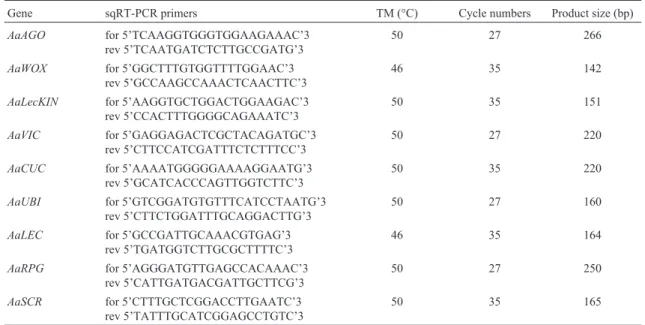 Table 2 - sqRT-PCR primers, PCR product sizes, melting temperatures, and PCR cycle numbers used in the analysis of gene expression during zygotic embryogenesis and early seedling growth in the Brazilian pine.