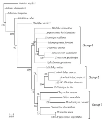 Figure 2 - Consensus trees of Sciaenidae constructed using Bayesian anal- anal-ysis based on P 2 partition-strategies