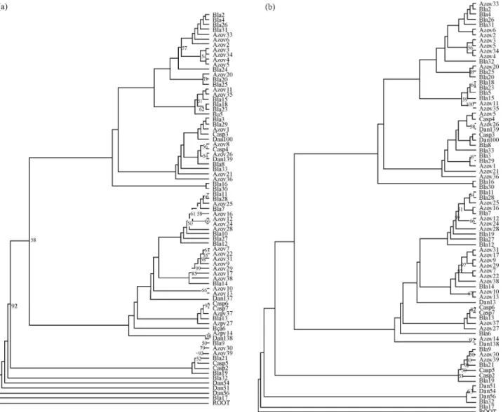 Figure 3 - Molecular phylogenetic trees inferred by partial D-loop sequences analysis by NJ (a) and ML (b) in A