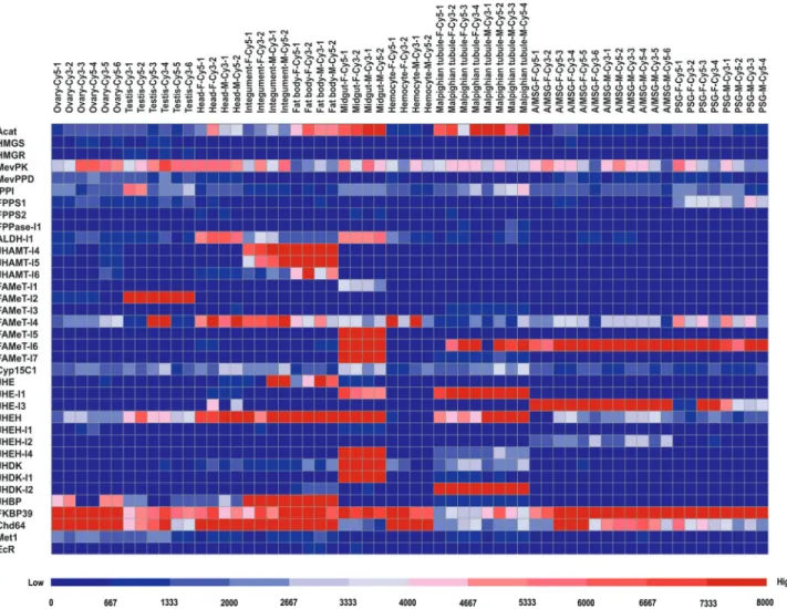 Figure 4 - Expression pattern of JH-related genes in multiple tissues from B. mori larvae