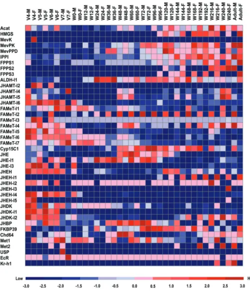 Figure 5 - Expression profiles of JH-related genes during metamorphosis in B. mori. The developmental expression profiles of JH-related genes for B.