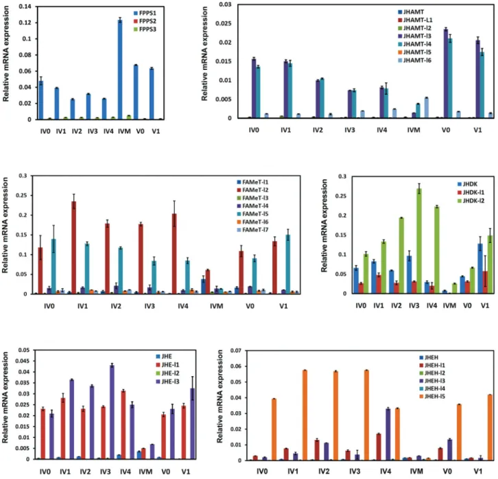 Figure 6 - Expression patterns of JH-related genes with multiple copies during larval growth and molting in B