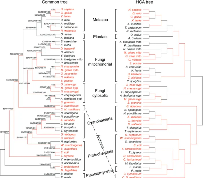Figure 1 is a phylogenetic comparison of MnSOD based on Maximum Parsimony, Neighbor Joining,  Maxi-mum Likelihood, and Bayesian analysis (see 