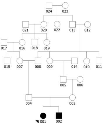 Figure 1 - Graphical pedigree of the tabulated genealogy shown in Table 1.