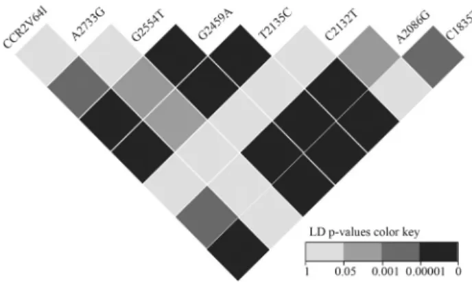 Figure 1 - Pairwise linkage disequilibrium results among SNPs. Colored boxes indicate significance levels of the chi-square test (light grey p &gt; 0.05; grey: 0.001 &lt; p &lt; 0.05; dark grey: 0.0001 &lt; p &lt; 0.001 and black: