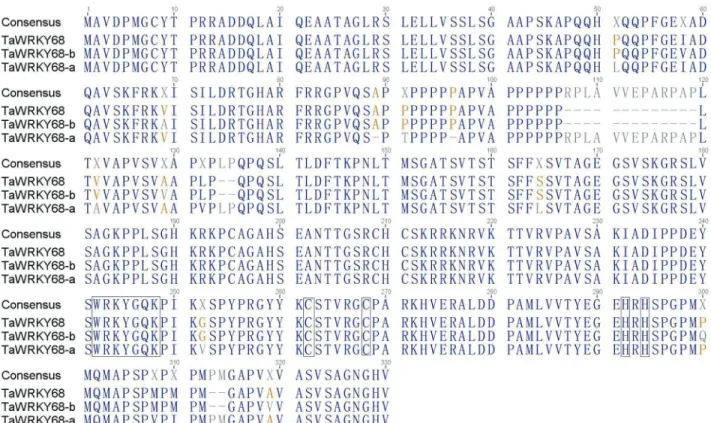 Figure 3 - Protein sequence alignment of TaWRKY68 transcription factors. Conserved WRKYGQK and zinc-finger patterns C-X 5 -C-X 23 -H-X 1 -H are boxed in the diagram.