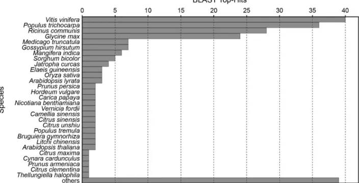 Figure 4 - Species distribution of the top BLAST hits from contiguous and singleton ESTs, obtained from both microgravity and terrestrial SSH libraries.