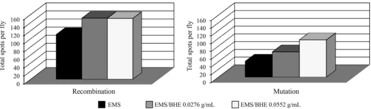 Figure 1 - Contribution of mutation and recombination to the frequency of total spots per fly in trans-heterozygous flies treated with EMS in combination (co-treatment) with BHE (0.0276 and 0.0552 g/mL)