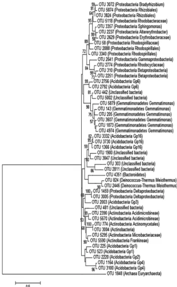 Figure 1 - Phylogenetic tree based on the partial 16S rRNA gene se- se-quences from the 50 most abundant OTUs present in the Sossego mine.