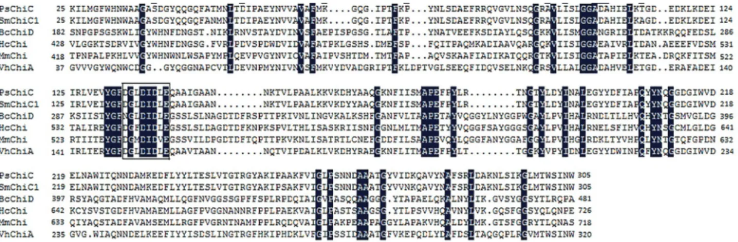 Figure 2 - Amino acid sequence alignment of the catalytic regions of PsChiC and several bacterial chitinases