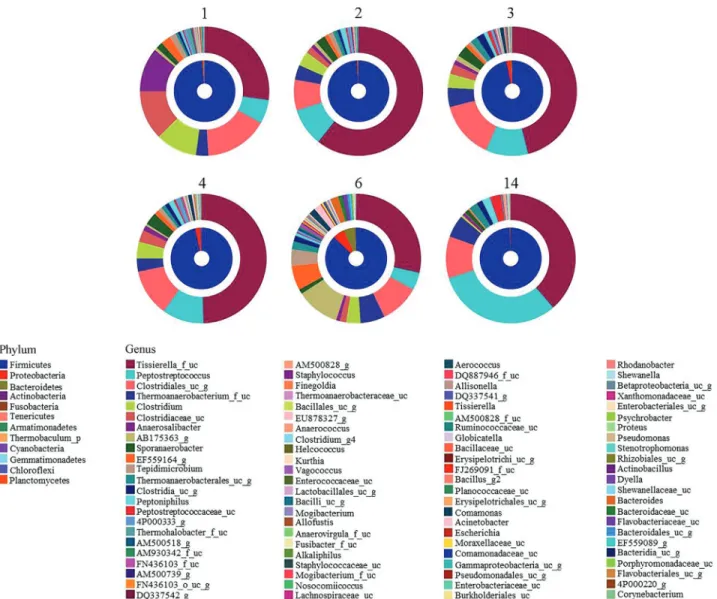 Figure 2 - Double pie charts of bacterial communities. The inner and outer pies represent the composition of phyla and genera, respectively