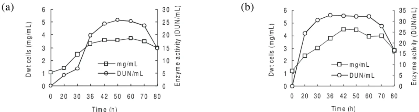 Figure 1. Time course of growth and  α -amylase production by Bacillus sp in liquid medium (a) and in liquid medium supplemented with calcium (b).