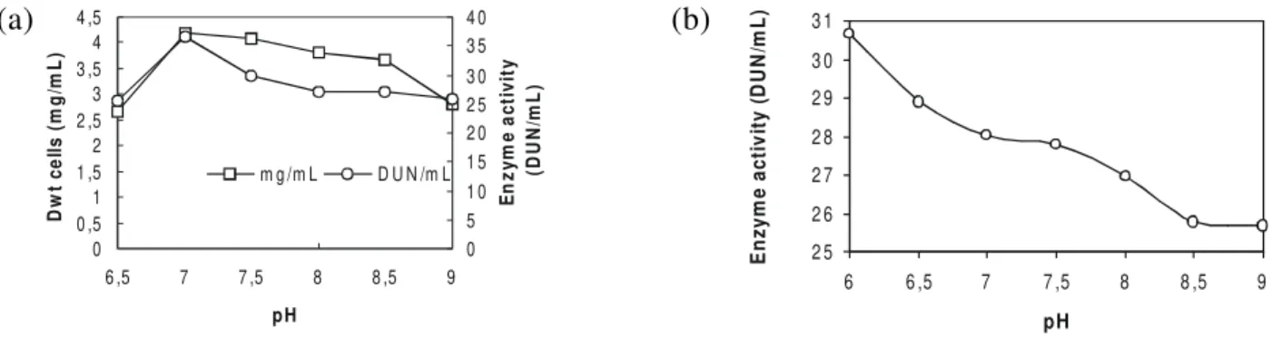 Figure 4. Effect of the initial pH of the culture medium on growth and  α -amylase production by Bacillus sp (a) and effect of the pH on the a- a-amylase activity at 50°C (b).(a) (b)00 ,511 ,522 ,533 ,544 ,56 ,577 ,588 ,59pHDwtcells(mg/mL)051 01 52 02 53 0