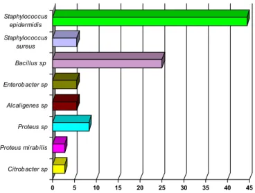 Figure 3. Frequency (%) of the bacteria isolated from the conjuctiva in the Male Ward