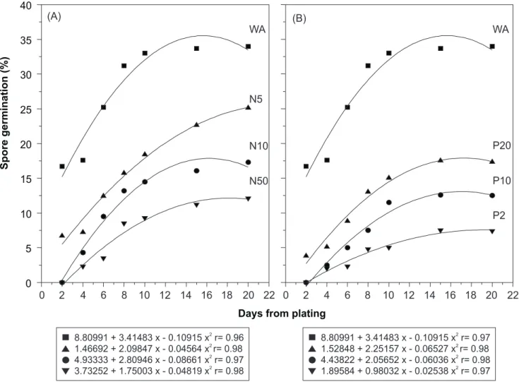 Figure 1. Spore germination of G. etunicatum. (A) media with different N concentrations (5, 10 and 50 mg/l) at low P level (2.0 mg/l)