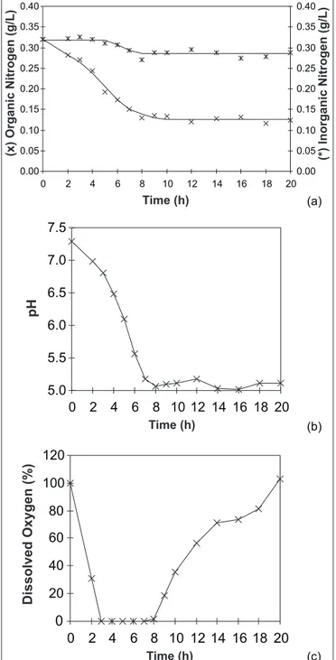 Figure 4. Polysaccharide amounts at the 12 th  cultivation hour (stationary growth phase start) and at the 20 th  culture hour (end of cultivation) and the cellular nitrogen amounts (end of cultivation) - results of five experiments.
