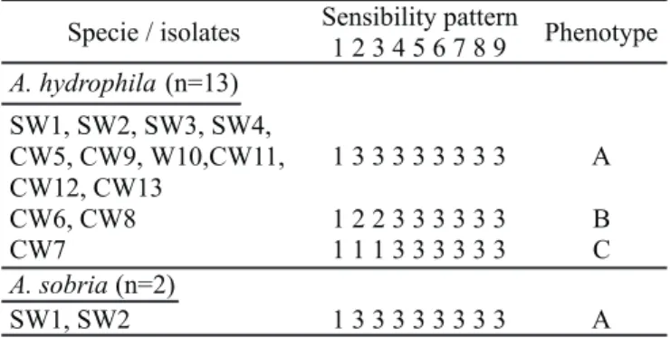 Table 3. Phenotype patterns of Aeromonas species isolated from a bovine abbatoir according to their antimicrobial susceptibility pattern.