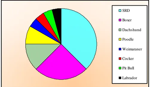 Figura 2- Frequência de mastocitoma, distribuídos conforme a raça  dos cães selecionados para este estudo